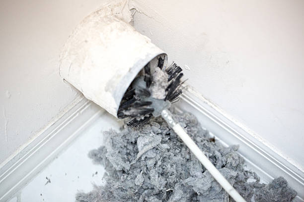 Best Residential Air Duct Cleaning  in Clover Creek, WA